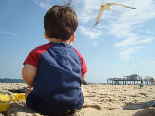 Eddie and the Birds