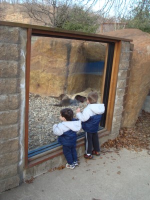 At the Zoo