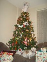 Our Tree