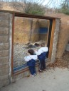 At the Zoo