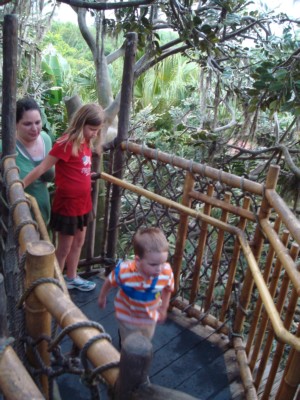 Swiss Family Robinson House